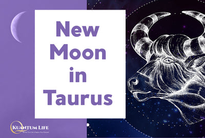 New Moon in Taurus: What Does Your Sign Need?