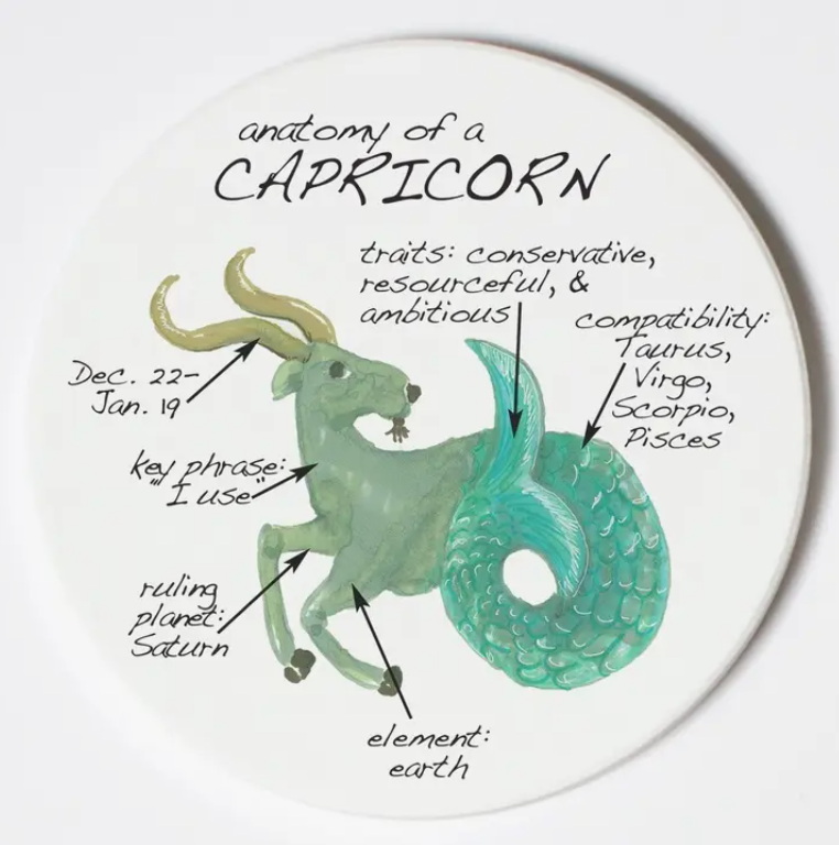 Capricorn Zodiac Anatomy Coasters