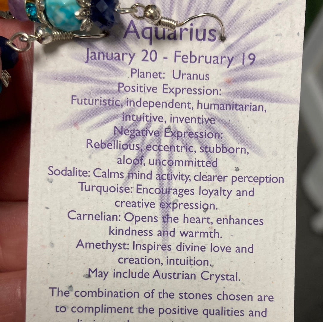 Aquarius Zodiac Earrings Seeds Of Light