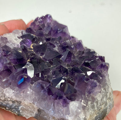 Raw Amethyst Cluster Crystal 8.2